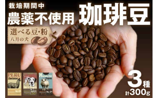 【栽培期間中農薬不使用】自家焙煎コーヒー豆　お試しセット（100gx3種）【豆の挽き方：中挽き】八月の犬　珈琲豆　ドリップ　飲み比べ　コホペ　HA00016