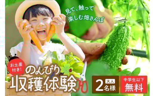 京都のオーガニックファームでのんびり過ごそう！収穫体験&お土産付き(2名様分)　体験 体験チケット チケット 収穫体験 ペアチケット 京都 京丹後 農業 農家 オーガニック てんとうむしばたけ 大自然 自然体験 旬の野菜 ピクニック 有機野菜 体験型返礼品　BR00017