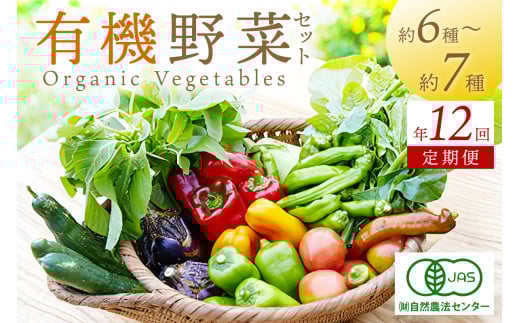 【年12回定期便】<てんとうむしばたけ>オーガニック野菜セット 有機野菜6~7種(2人用) 定期便 農家直送 京都直送 野菜 有機野菜 オーガニック セット 詰め合わせ 野菜セット 国産 京都産 ふるさと納税 野菜 BR00061