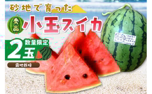 【先行予約/数量限定200】にしまるスイカ 秀品 2玉入り(露地栽培)(2026年7月中旬から発送) FR00013