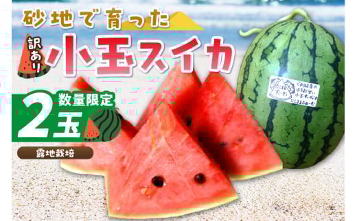 【先行予約/数量限定200】にしまるスイカ 訳あり 2玉入り(露地栽培)(2026年7月中旬から発送) FR00015
