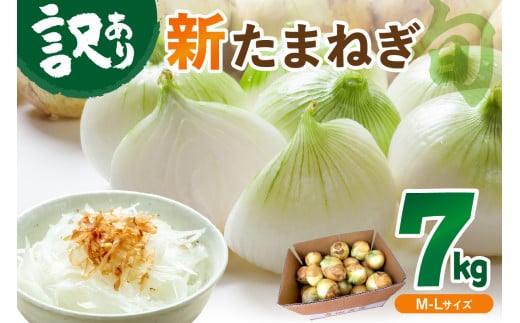 【訳あり】新たまねぎ 7kg　甘い 新鮮 国産 玉ねぎ ふるさと納税 たまねぎ 訳あり 訳有り わけあり 不揃い ふぞろい やさい 京野菜 京都産 新たま　JA00063