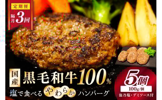 <定期便・隔月3回>塩で食べるやわらかハンバーグ(デミグラスソース付) NH00041