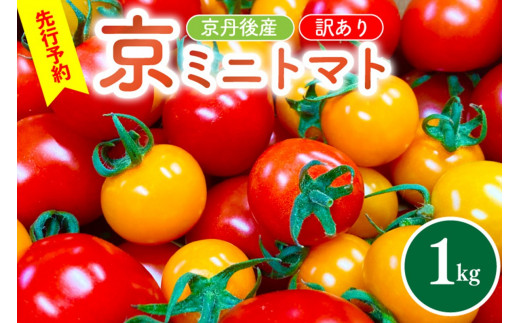 【先行予約】京丹後産・京ミニトマト 1kg(2026年5月中旬~発送) 野菜 ミニトマト 1キロ サラダ 色とりどり とまと 京野菜 不揃い ふぞろい わけあり 訳アリ ワケアリ 訳有り 1きろ tomato JK00035