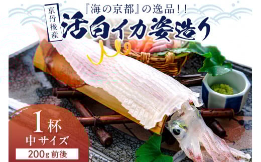 【先行予約】京丹後産『海の京都』の逸品！！　活白イカ姿造り（クリスタル白いか）中サイズ 1杯（200g前後）（2026年6月上旬～発送）　YK00534