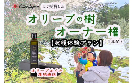 【京都府/オリーブオーナー】【収穫体験プラン】令和5年度オリーブ樹のオーナーになれる　DZ00015