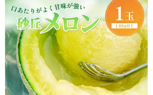 【先行予約/数量限定450】京丹後産 砂丘メロン 大玉2L以上 1玉(2026年7月下旬~発送) 国産 高級メロン めろん 贈答 贈答品メロンマスクメロン 青肉メロン メロン先行予約 メロン1玉 HF00011