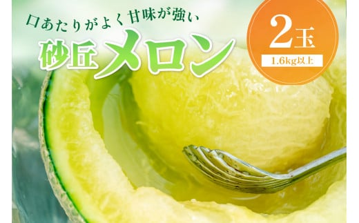 【先行予約/数量限定450】京丹後産 砂丘メロン 大玉2L以上 2玉(2026年7月下旬~発送) 国産 高級メロン めろん 贈答 贈答品 贈り物 ふるさと納税 メロン 青肉 ふるさと納税 先行予約 期間限定 ふるさと 納税 フルーツ くだもの 果物 箱 HF00012