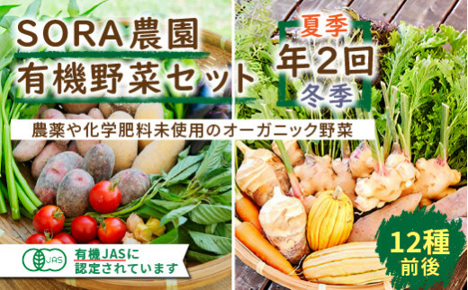 【有機JAS認証】SORA農園有機野菜セット年2回(夏季・冬季)お届け オーガニック野菜・有機野菜定期便 SN00003