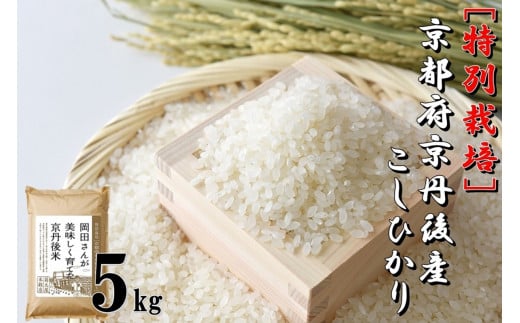 特別栽培 京都府京丹後市産こしひかり 岡田さんが美味しく育てた京丹後米 5kg NC00007