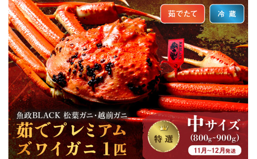 【蟹の匠 魚政】茹で　プレミアムズワイガニ 魚政BLACK（松葉ガニ・越前ガニ）特撰 中サイズ（800～900g） 1匹(11月～12月発送)【土日祝】　松葉蟹 蟹 かに カニ ガニ がに ボイル まるごと 海産物 海鮮 魚介 魚介類 甲殻類 海の幸 小 京都 京丹後 京丹後市 ふるさと納税 蟹 送料無料　UO01296