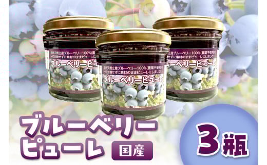 国産ブルーベリーピューレ　農薬不使用（3瓶）　BM00001