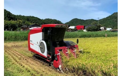 ⬛︎京都産⬛︎コシヒカリ 玄米 30kg 楽天市場】コシヒカリ 京都府 玄米 30㎏の通販