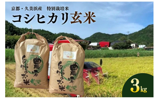令和5年産京都府久美浜産コシヒカリ 2025年産 京都・久美浜産 特別栽培米コシヒカリ 精米 3kg(1.5kg