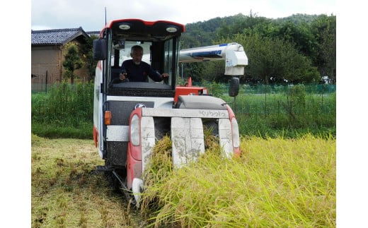 京都・丹後羽衣天女米（特別栽培米コシヒカリ） 玄米 20kg　NL00002