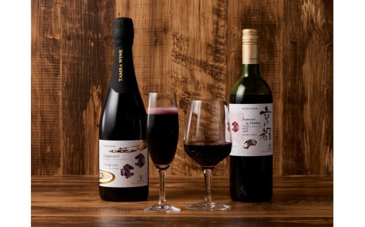 【丹波ワイン】京都ワイン(赤)サペラヴィ&メルロー2022(720ml)・スパークリング (750ml) 2本セット NZ00016