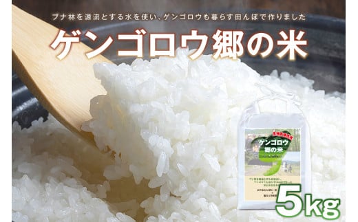 【先行予約】龍谷大学と共同開発/2025年産 京丹後産生物多様性米コシヒカリ「ゲンゴロウ郷の米」5kg箱入 CM00005