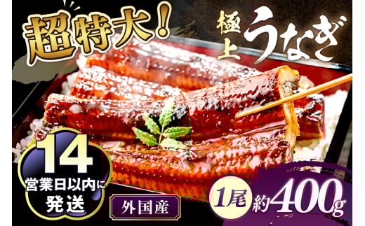 超特大!ふっくら肉厚!うなぎ蒲焼 1尾 400g前後 YK00402C