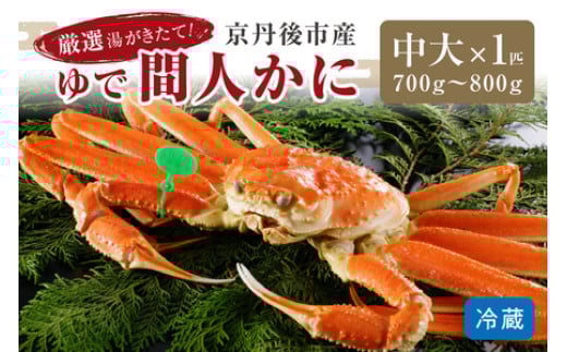 かに卸問屋がお届け・自社釜ゆで！幻のゆで間人ガニ 700ｇ～800ｇ 中大サイズ （1月～3月発送）／北畿水産 松葉ガニ 松葉蟹 松葉がに 松葉かに ズワイガニ ボイル カニ 姿 ゆでかに　HK00220