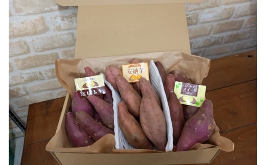 【先行予約／数量限定】直売所直送「京都・京丹後産 訳あり さつまいも3種食べ比べセット」計3kg（2025年10月下旬～発送）　国産 ふるさと納税 訳あり ふるさと納税 さつま芋 ふるさと納税 シルクスイート ふるさと納税 安納芋 紅はるか　JA00069