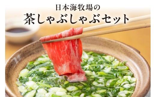 年末配送:日本海牧場の茶しゃぶしゃぶセット(京たんくろ和牛)※12月27日〜12月30日お届け お肉 肉 牛肉 国産 しゃぶしゃぶ 鍋 セット 詰め合わせ ロース 赤身肉 ブランド 牛 お鍋 ふるさと納税 鍋セット ふるさと納税 しゃぶしゃぶ 生産者応援 送料無料 NH00025_12e