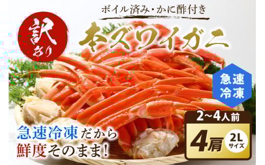 【訳あり！カニ酢付】急速冷凍 ボイル済み 本ズワイガニ 2Lサイズ4肩　蟹・カニ・かに・ボイルカニ・ボイルズワイガニ・訳あり かに　YK00412_02