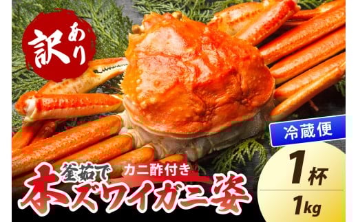 【大好評!カニ酢付き】訳あり!釜茹で!特大本ずわいがに姿 1kg×1杯 YK00484