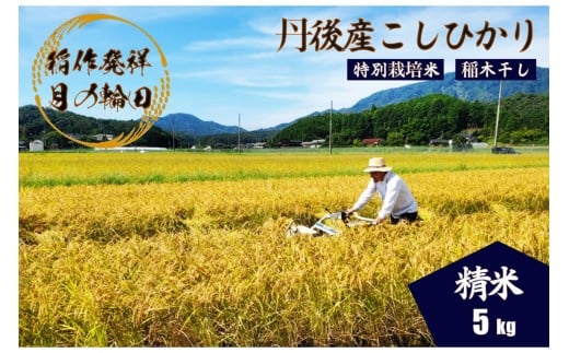 2025年産 京丹後産稲作発祥の地コシヒカリ特別栽培米 月の輪田米 精米5kg（天日干し）　WK00002