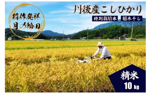 2025年産 京丹後産稲作発祥の地コシヒカリ特別栽培米 月の輪田米 精米10kg(天日干し) WK00004