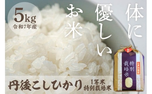 令和7年産 丹後こしひかり 特別栽培米 5kg 白米 お弁当 おにぎり 京都産 京丹後 コシヒカリ ブランド米 久美浜 生産者応援 農家応援 送料無料 MU00054