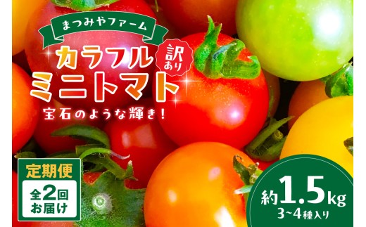 【2回定期便】京丹後産 訳あり 宝石のような輝き!カラフルミニトマト(2026年5月下旬~発送) MY00015