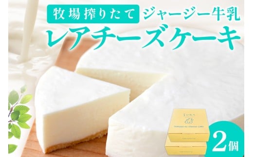【ミルク工房sora】2月発送：牧場のレアチーズケーキ 直径12cm×2個セット　チーズケーキ レア ケーキ 冷凍ケーキ ホールケーキ スイーツ グルメ デザート ちーずけーき ケーキ スイーツ デザート お取り寄せ 誕生日 バレンタイン ホワイトデー クリスマス 贈り物 プレゼント お土産 牧場 ジャージー牛乳 搾りたて ミルク ミルク工房ソラ　TJ00012_02