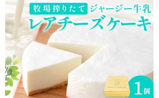 【ミルク工房sora】1月発送:牧場のレアチーズケーキ 直径12cm×1個 チーズケーキ レア ケーキ 冷凍ケーキ ホールケーキ スイーツ グルメ デザート ちーずけーき ケーキ スイーツ デザート お取り寄せ 誕生日 バレンタイン ホワイトデー クリスマス 贈り物 プレゼント お土産 牧場 ジャージー牛乳 搾りたて ミルク ミルク工房ソラ TJ00013_01