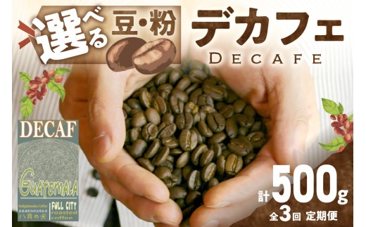 【定期便全3回】【デカフェ】自家焙煎　グアテマラ カフェインレスコーヒー豆 500g（250g×2）　2カ月に１回×3回お届け 八月の犬　珈琲豆　ドリップ　マタニティー　HA00030