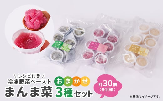 まんま菜　冷凍野菜ペーストおまかせ3種セット【1522909】