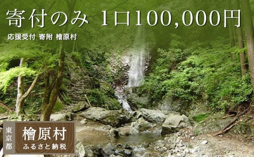 【返礼品なし】寄付のみ 1口100,000円 応援受付 寄附 檜原村
