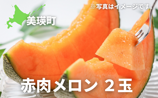 【先行予約】メロン 2玉 <令和8年産 > 果物 フルーツ くだもの おすすめ 人気 北海道 北海道美瑛 美瑛 美景農園 [020-95]