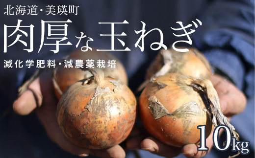 【先行予約】玉ねぎ 10kg <令和7年産 >本山農場  北海道 美瑛 たまねぎ 玉葱 野菜 送料無料 玉ネギ タマネギ オニオン 10kg スライス サラダ ハンバーグ 肉じゃが 味噌汁 焼き肉 バーベキュー BBQ スープ 国産 新鮮 [0105-01]