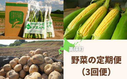 【先行予約】野菜 定期便 3回便 <令和8年産 > セット 詰め合わせ 黒木農場 グリーンアスパラ（M～Lサイズ）1kg、とうもろこし12本、じゃがいもセット（男爵、北あかり各2.5kg)[029-15]