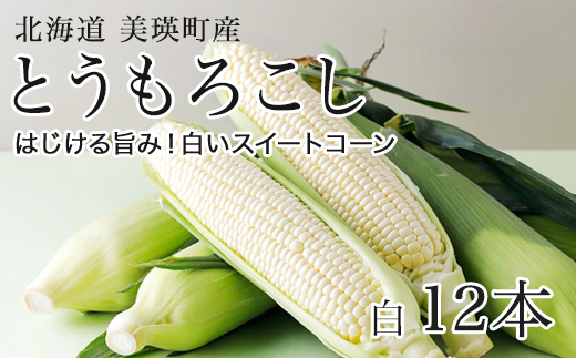 【先行予約】 とうもろこし  (白12本)  スイートコーン <令和8年産 >美瑛選果 | とうもろこし コーン とうきび 野菜 ベジタブル 産地直送 送料無料 北海道 道産[016-88]