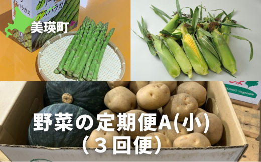 [先行予約]野菜 定期便A[小] 3回便 [令和7年産 ]サスケの家 グリーンアスパラ1kg(L~2L)、スイートコーン8本(1品種)、秋野菜(かぼちゃ・じゃがいも(北あかり) 約5kg)[031-03]