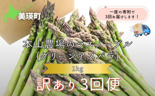 【令和8年産先行予約】 幻のアスパラ 『訳あり』 1kg 3回便 ラスノーブル <令和8年産 > 北海道 美瑛町 本山農場 グリーンアスパラ | グリーン アスパラガス アスパラ あすぱら あすぱらがす 採れたて 新鮮 旬 産地直送 野菜[036-43]