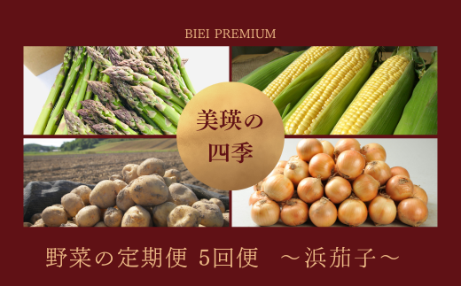 【先行予約】<令和8年産 > 美瑛の四季 野菜 定期便 【浜茄子】5回便 セット 詰め合わせ  |  アスパラ とうもろこし  食べ比べ 送料無料 玉ねぎ 人気 おすすめ ランキング いも 芋 イモ じゃがいも ジャガイモ 玉ねぎ タマネギ 玉葱 野菜 5か月 5回便 5回[049-04]