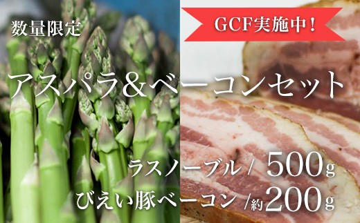 【クラウドファンディング実施中！】アスパラ&ベーコンセット | 美瑛選果 グリーン アスパラ 採れたて 新鮮 旬 産地直送 幻のアスパラ ラスノーブル アスパラガス あすぱら 豚 豚肉 [018-52]