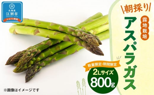 【先行予約/2026年4月下旬より発送開始】BO001＜数量限定・期間限定＞グリーンアスパラガス(2Lサイズ) 800g 朝採り 露地栽培