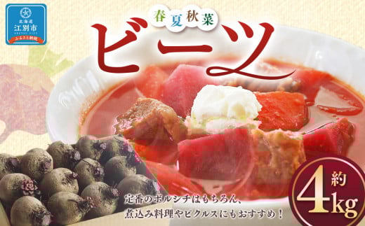 「春夏秋菜」ビーツ4kg　【2025年8月より順次発送】