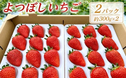 よつぼしいちご　約600g（約300g×2パック）