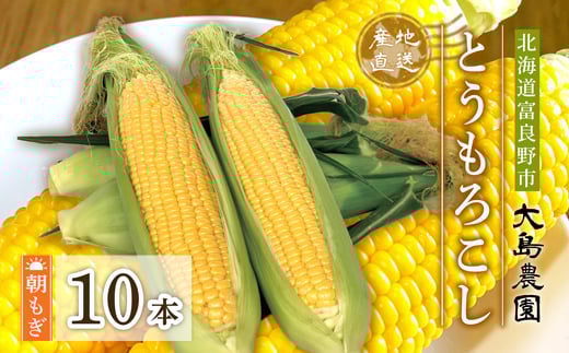 ＜先行予約＞朝もぎとうもろこし　10本　北海道富良野市『大島農園』【1261687】