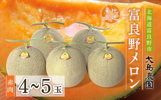 ＜先行予約＞富良野メロン　赤肉4～5玉　北海道富良野市『大島農園』_ メロン 富良野メロン 赤肉 赤肉メロン 北海道 富良野 果物 くだもの ギフト プレゼント 贈り物 ふるさと 【1261686】