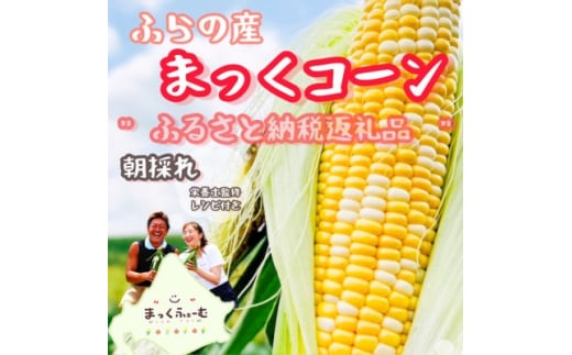 ＜先行受付＞＜8月より順次発送＞北海道　富良野産　まっくコーン(スイートコーン)10本+1本付き!【1458329】
